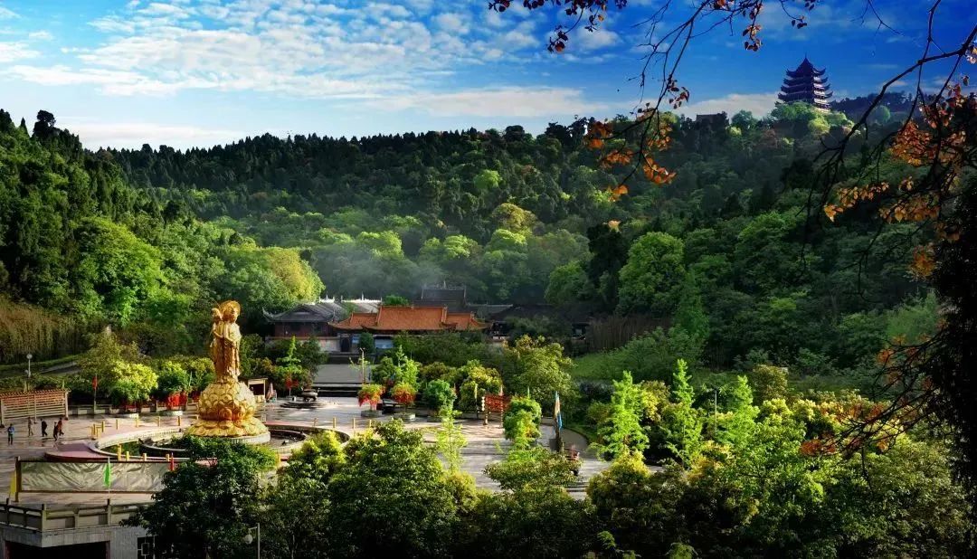 灵泉寺树林与寺院全景，官方实景照片，拍摄月份未核实
