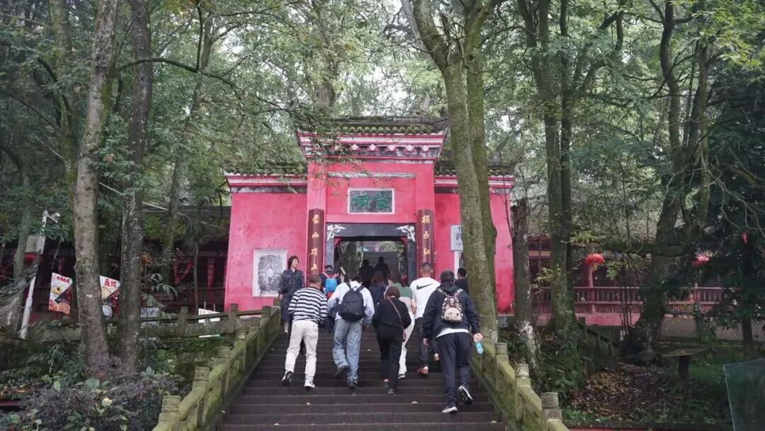 蒙顶山古木与寺门，2026年春季推介 · 拍摄日未注明